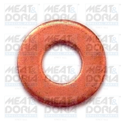 Seal Ring, nozzle holder
